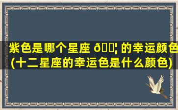 紫色是哪个星座 🐦 的幸运颜色(十二星座的幸运色是什么颜色)